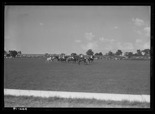 J.E. Madden; polo (game scenes)