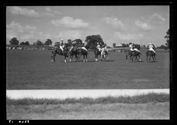 J.E. Madden; polo (game scenes)