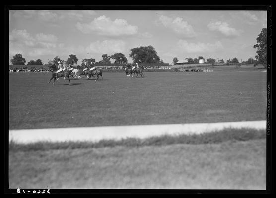 J.E. Madden; polo (game scenes)