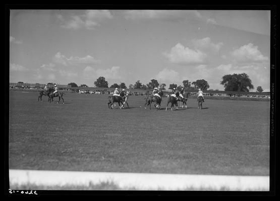 J.E. Madden; polo (game scenes)