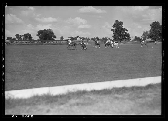 J.E. Madden; polo (game scenes)