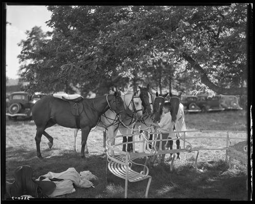 J.E. Madden; polo horses