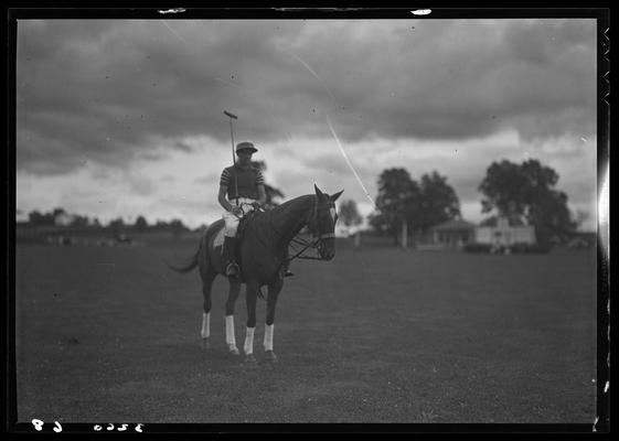 J.E. Madden; polo horses, players