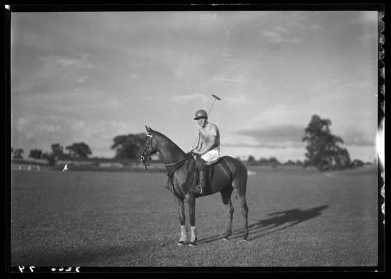 J.E. Madden; polo horses, players