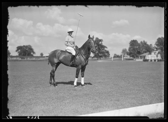 J.E. Madden; polo horses, players