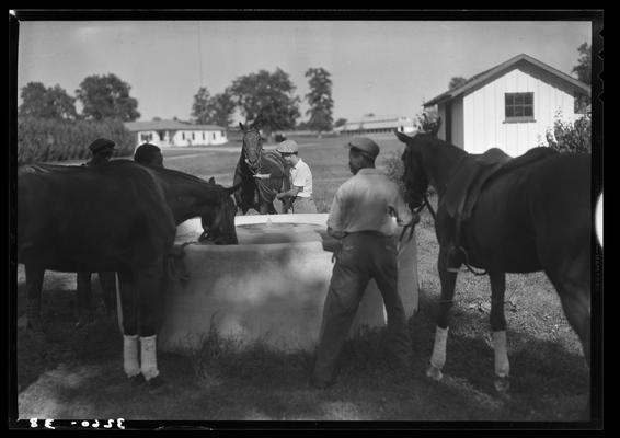 J.E. Madden; polo horses, players (trough)