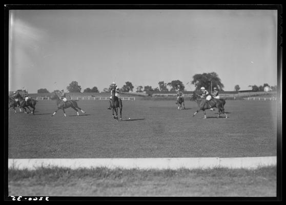 J.E. Madden; polo horses, players