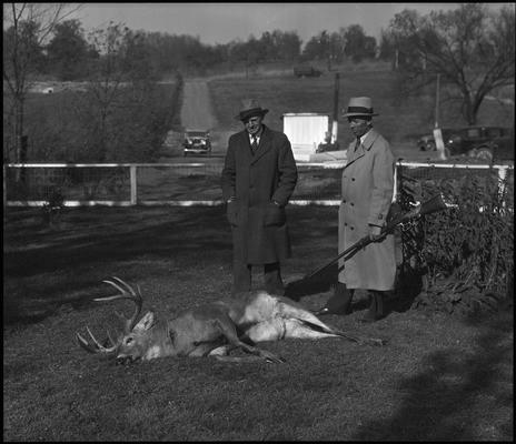 Thoroughbred Club; dead deer (trophy buck)