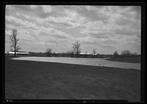 Hamburg Farm; Mrs. J.E. Madden