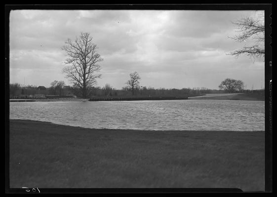 Hamburg Farm; Mrs. J.E. Madden