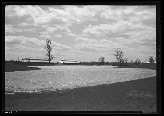 Hamburg Farm; Mrs. J.E. Madden