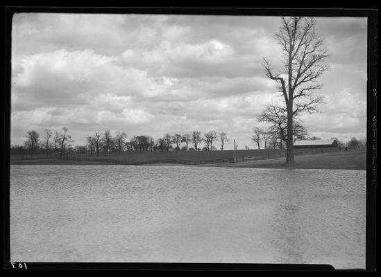 Hamburg Farm; Mrs. J.E. Madden