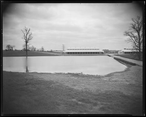 Hamburg Farm; Mrs. J.E. Madden