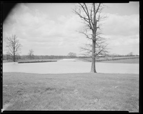 Hamburg Farm; Mrs. J.E. Madden