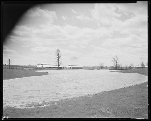 Hamburg Farm; Mrs. J.E. Madden