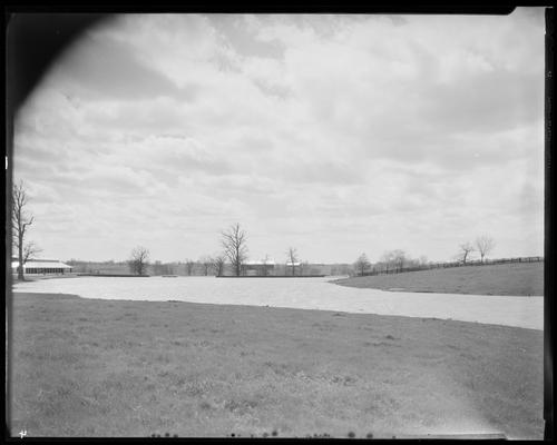 Hamburg Farm; Mrs. J.E. Madden