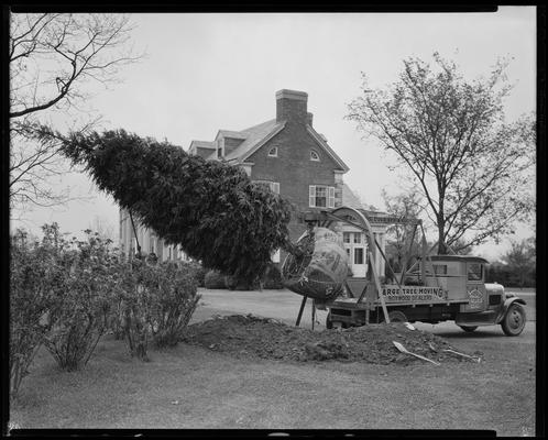 J.E. Madden house; exterior (Barber & Dula, large tree moving)