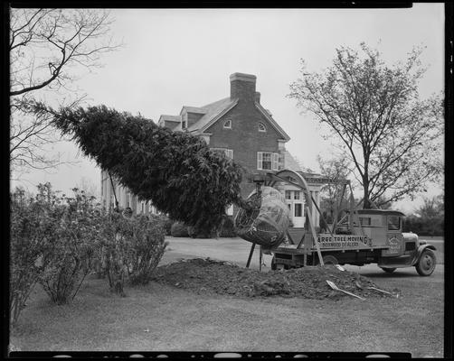 J.E. Madden house; exterior (Barber & Dula, large tree moving)