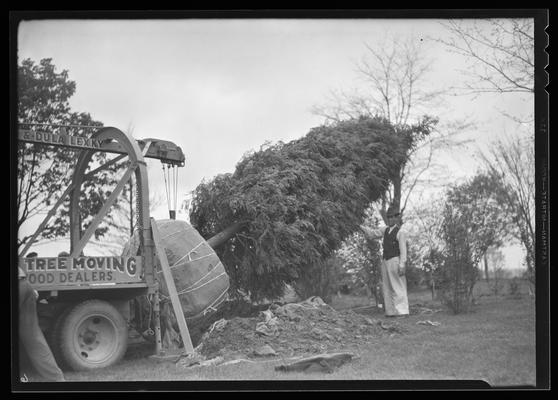 J.E. Madden house; exterior (Barber & Dula, large tree moving)