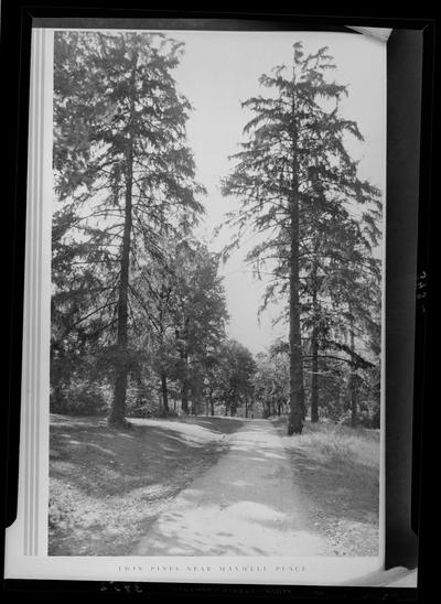 Twin Pines, near Maxwell Place (1936 Kentuckian)