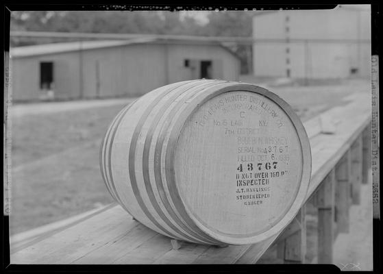 Old Louis Hunter Distillery; Bourbon Whiskey barrel (Cynthiana, Kentucky)