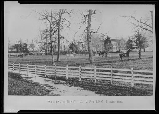Scenes of Lexington; Springhurst; C. L. Railey; horses in field in front of house