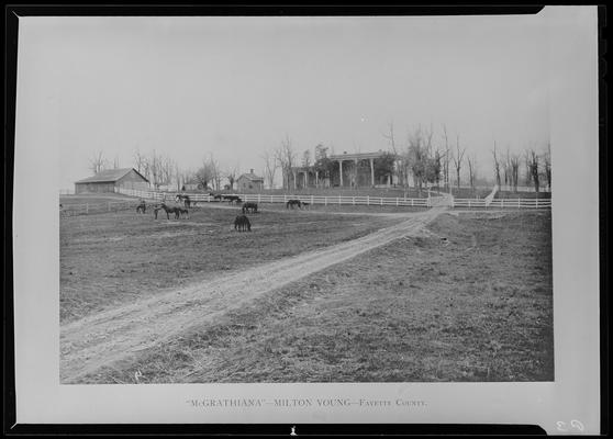 Scenes of Lexington; McGrathiana; Milton Young; horses in field in front of house