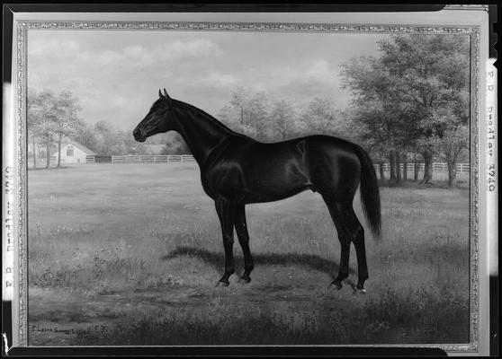E.R. Bradley; horse standing broadside, ER