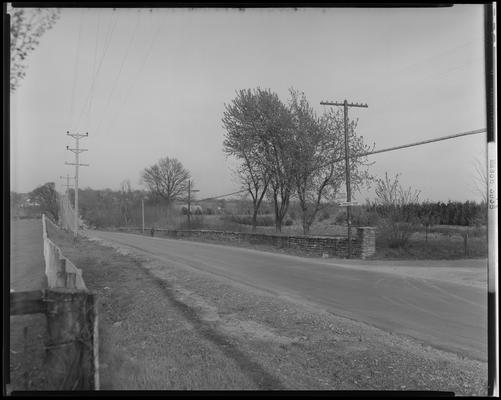 Dunreath Gardens; landscape, road trees and power lines, sign on light pole (