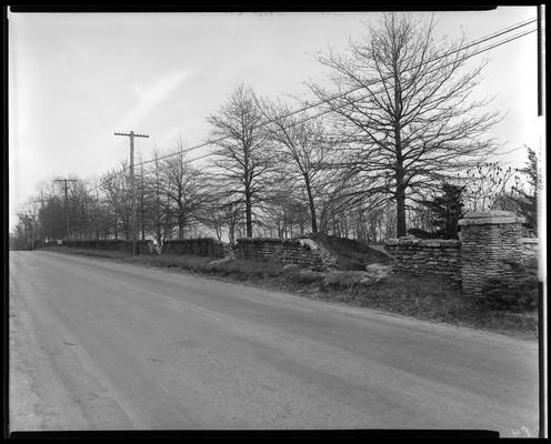 Dunreath Gardens; stone fence, trees, power lines