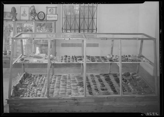 Blue Licks Memorial Park; display case with Indian artifacts