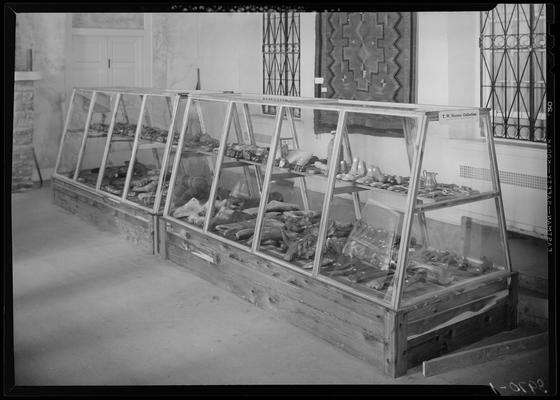 Blue Licks Memorial Park; display case with Indian artifacts