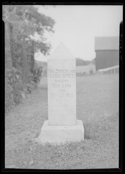 Sam Woolridge or Woodbridge, Airy Mount, grave stone for dog, 