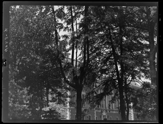Campus scenes (1939 Kentuckian) (University of Kentucky), building and trees
