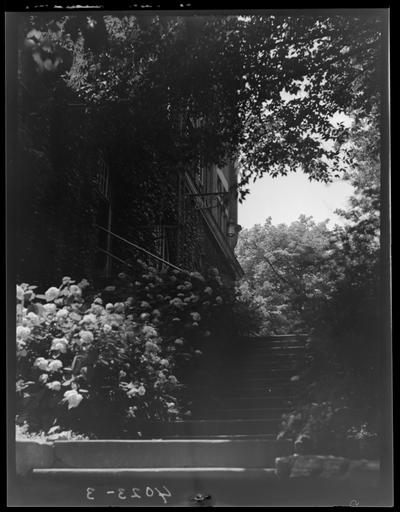 Campus scenes (1939 Kentuckian) (University of Kentucky), stairs leading to a building