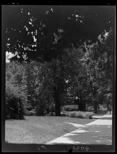 Campus Scenes (1939 Kentuckian) (University of Kentucky), walkway (path)