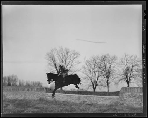 Stony Walton and horse; jumping stone fence