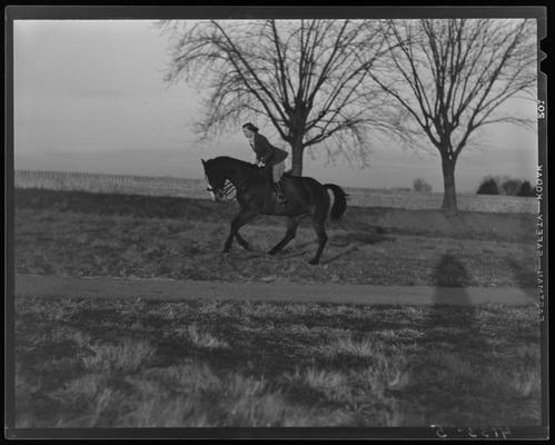 Stony Walton and horse; trotting
