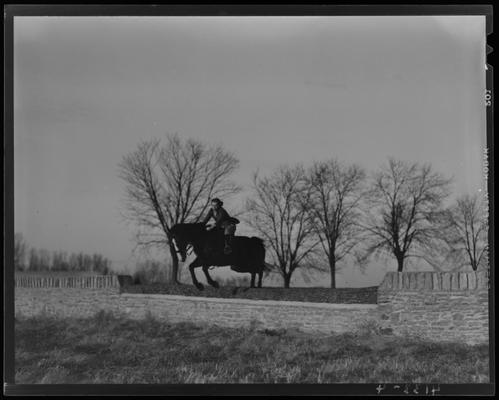 Stony Walton and horse; jumping fence