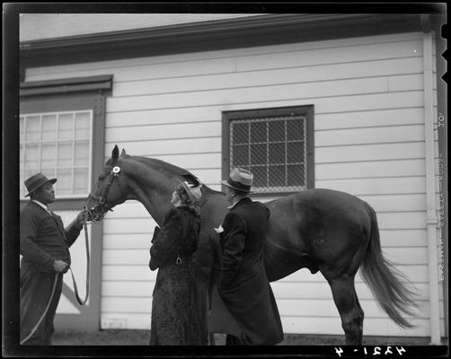 Will Harbut with Man O' War (Horse); Faraway Farm; unidentified people (possibly Jeanette McDonald) standing next to horse; photos ordered by Mr. Wilder and charged to the Lexington Board of Commerce