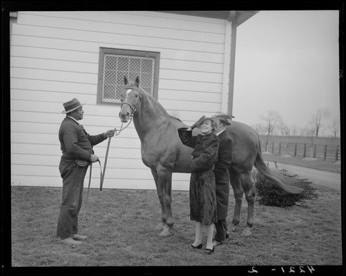 Will Harbut with Man O' War (Horse); Faraway Farm; unidentified people (possibly Jeanette McDonald) standing next to horse; photos ordered by Mr. Wilder and charged to the Lexington Board of Commerce