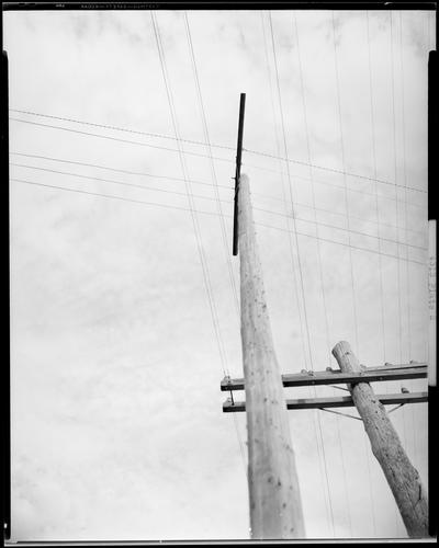 John Crosby; telephone poles, close-up view