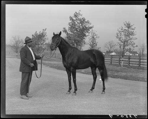 Will Harbut with War Admiral (horse)