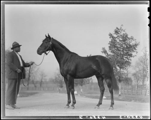 Will Harbut with War Admiral (horse)