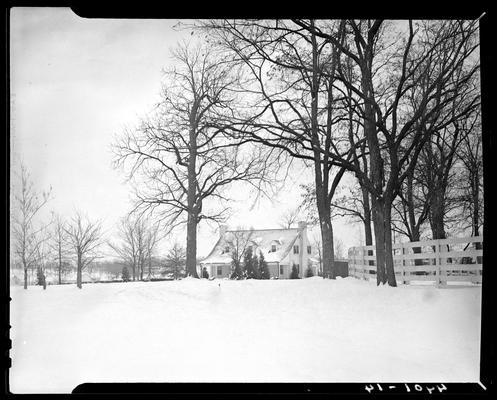 Mrs. Royce G. Martin; exterior view of house and surrounding trees
