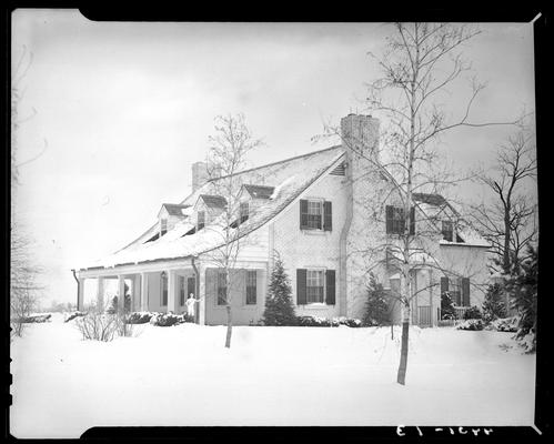 Mrs. Royce G. Martin; exterior view of house and surrounding trees