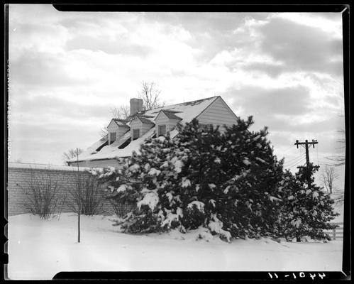 Mrs. Royce G. Martin; exterior view of house and brick wall