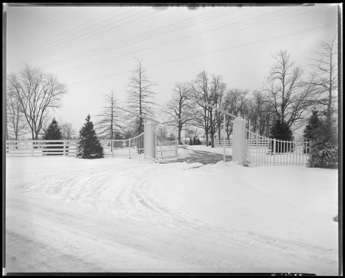 Mrs. Royce G. Martin; entrance gate and driveway leading to house