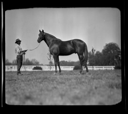 Calumet Farm; horse and handler