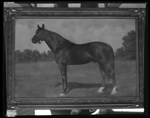 Calumet Farm; framed painting of horse
